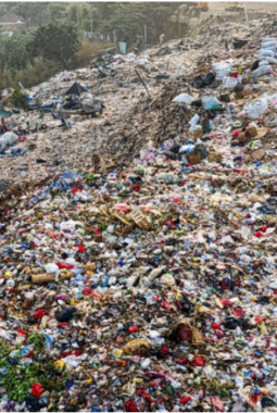 berita-rekomendasi-foto