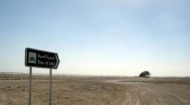 Pohon Kehidupan atau Tree of Life berdiri sendirian di tengah gurun Bahrain dan diyakini telah bertahan hidup lebih dari 400 tahun di lingkungan ekstrem. (Foto: Istimewa)