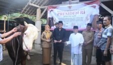 Sapi kurban bantuan Presiden RI Prabowo Subianto berbobot 1,037 ton resmi diserahkan untuk masyarakat Trenggalek menjelang Iduladha 1447 Hijriah.