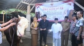 Sapi kurban bantuan Presiden RI Prabowo Subianto berbobot 1,037 ton resmi diserahkan untuk masyarakat Trenggalek menjelang Iduladha 1447 Hijriah.
