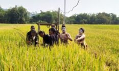 berita-pilihan-foto