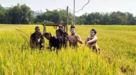 Foto: Petani di Desa Glinggang, Kecamatan Sampung, Ponorogo mengikuti tradisi Methik Pari sebagai ungkapan syukur menjelang panen. Kegiatan ini juga dihadiri Plt Bupati Ponorogo dan pejabat Provinsi Jawa Timur, serta menjadi simbol pelestarian budaya dan harapan peningkatan hasil pertanian.