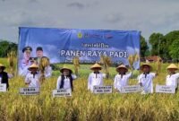 Produksi padi di Jawa Timur pada 2025 mencapai 10,4 juta ton gabah kering giling dan menjadi tertinggi di Indonesia. Ponorogo menjadi salah satu daerah penopang dengan produksi ratusan ribu ton per tahun. Pemerintah kini fokus menjaga stabilitas produksi di tengah ancaman kekeringan 2026 melalui penguatan sistem irigasi dan pompa air.