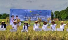 berita-pilihan-foto