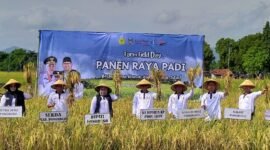 Produksi padi di Jawa Timur pada 2025 mencapai 10,4 juta ton gabah kering giling dan menjadi tertinggi di Indonesia. Ponorogo menjadi salah satu daerah penopang dengan produksi ratusan ribu ton per tahun. Pemerintah kini fokus menjaga stabilitas produksi di tengah ancaman kekeringan 2026 melalui penguatan sistem irigasi dan pompa air.