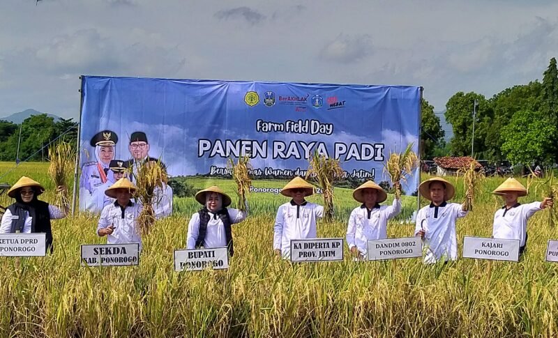 Produksi padi di Jawa Timur pada 2025 mencapai 10,4 juta ton gabah kering giling dan menjadi tertinggi di Indonesia. Ponorogo menjadi salah satu daerah penopang dengan produksi ratusan ribu ton per tahun. Pemerintah kini fokus menjaga stabilitas produksi di tengah ancaman kekeringan 2026 melalui penguatan sistem irigasi dan pompa air.