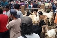 Peternak dan pedagang di pasar hewan Terpadu 