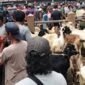 Peternak dan pedagang di pasar hewan Terpadu 