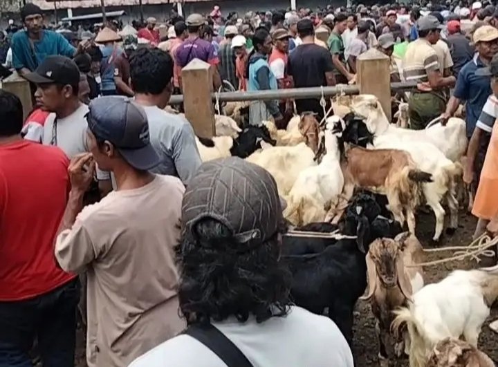 Peternak dan pedagang di pasar hewan Terpadu 