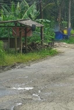 berita-rekomendasi-foto
