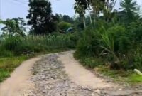 Foto Salah Satu Jalan Rusak di Desa Kedoya, Kecamatan Sendang