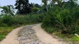 Foto Salah Satu Jalan Rusak di Desa Kedoya, Kecamatan Sendang 