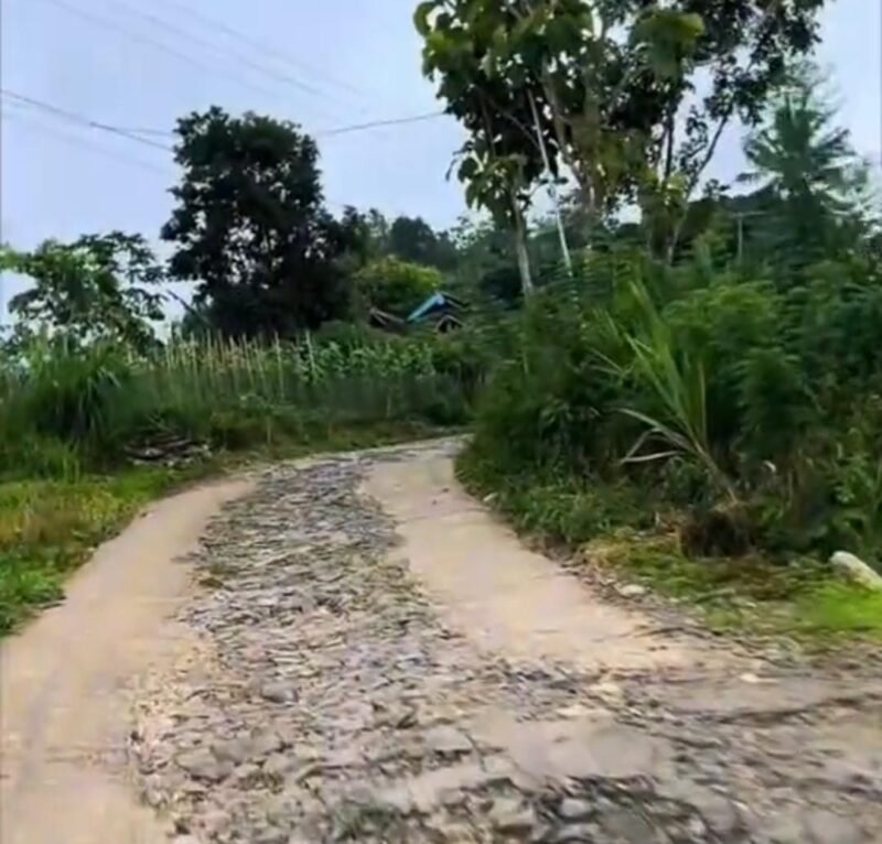 Foto Salah Satu Jalan Rusak di Desa Kedoya, Kecamatan Sendang 