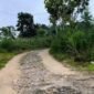 Foto Salah Satu Jalan Rusak di Desa Kedoya, Kecamatan Sendang 